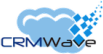 CRMWave: Your Consulting Partner